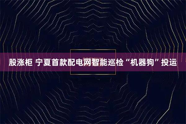 股涨柜 宁夏首款配电网智能巡检“机器狗”投运