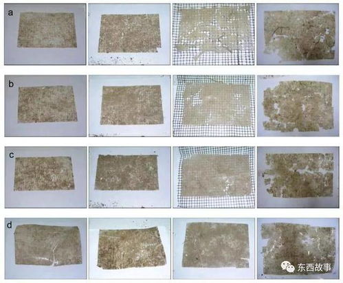 罚款 天津12月1日起禁售一次性塑料制品,可降解塑料真的是 救星 吗