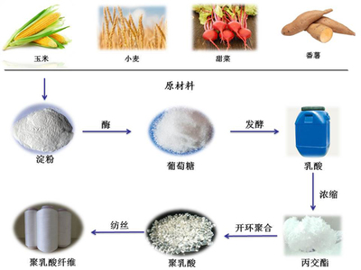 科普|生物基化学纤维之聚乳酸纤维(一)
