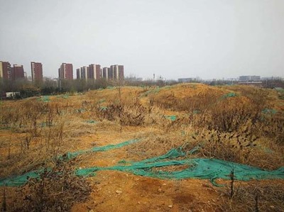 环保可降解生物基膜新材料捍卫机场环境安全