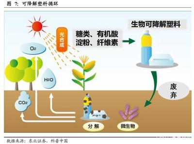 化工行业深度报告:从限塑到禁塑,可降解塑料迎黄金发展期