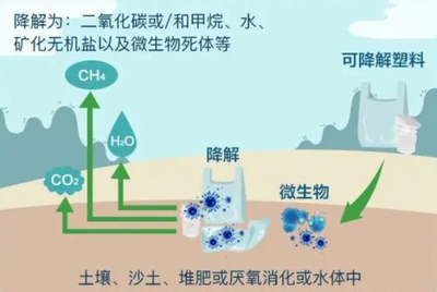 “新限塑令”到来,可降解塑料真的可以降解吗?且听挪亚专家怎么说