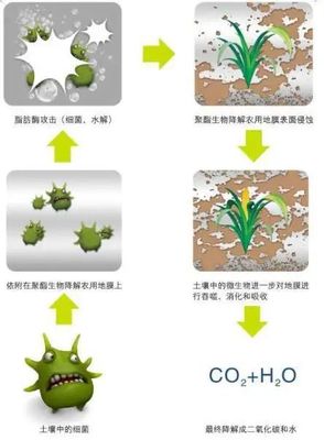 史上最全的可降解材料知识!赶紧收藏~
