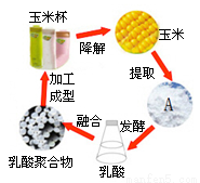 某科考小组在云南乌蒙山区发现了一种矿石.敲开表层发现里面有许多金黄发亮的晶体物质.酷似黄金.经检测其成分有黄铁矿(主要是FeS2).试回答: (1)在FeS2中.硫元素的化合价为-1价.则铁元素的化合价为 . (2)这种矿石中蕴藏着海洋生物化石.这可为 提供有力的证据. 题目和参考答案--精英家教网--