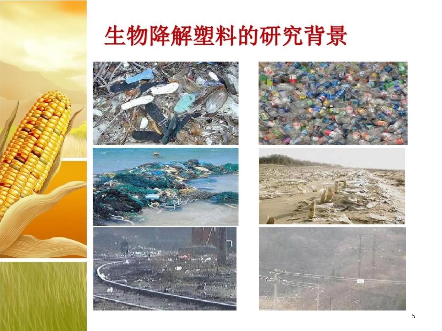 生物降解包装材料的现状与发展共课件