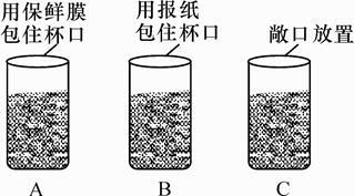 下列实验用品中,由有机合成材料制成的是