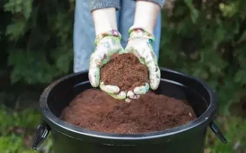 可生物降解塑料 与 可堆肥降解塑料