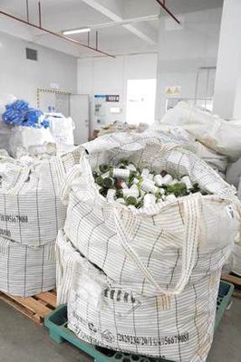 当环保与艺术奇妙碰撞 雏菊的天空探寻可持续的「自然之美」