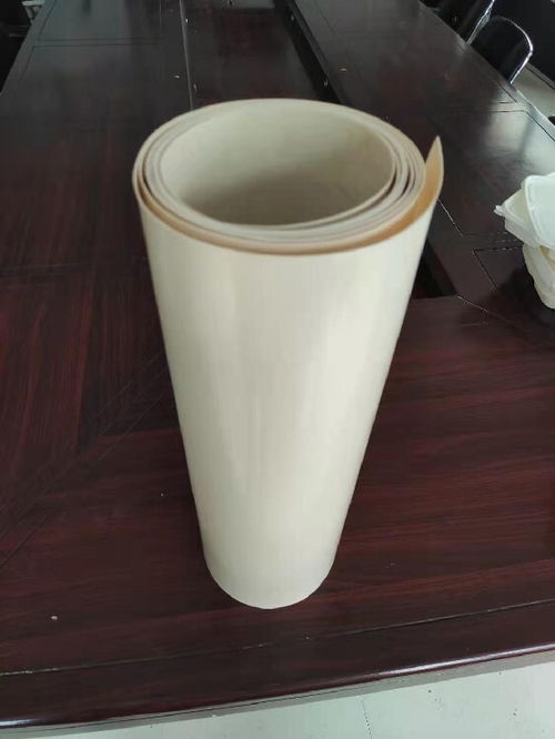 广西可降解塑料片材性能可靠