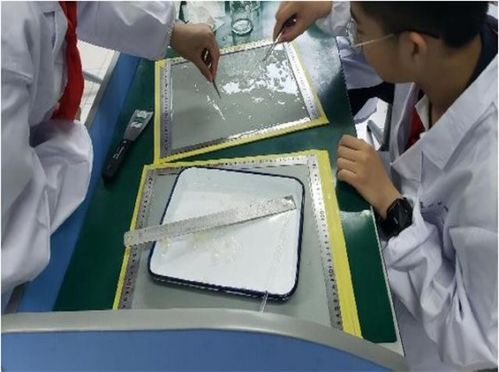校服变变变 可降解湿垃圾袋......这些优秀作品值得一看 我为 双碳 献一策⑤