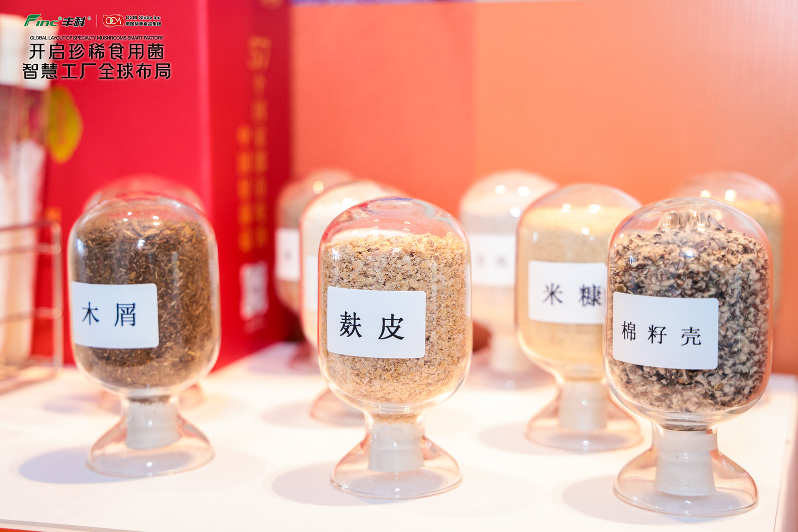 上海企业首度“出海”建食用菌智慧工厂,将填补美国本土金针菇生产空白