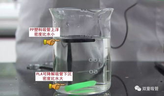 三招区分pla可降解吸管和塑料吸管 浙江经视专题节目聚焦 双童 环保吸管