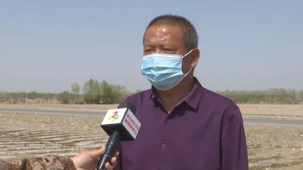 【绿色发展 生态卫士】掀起农田“绿色革命”,八十七团有妙招~